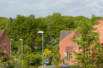 Several red brick houses in the foreground with a woodland in the background