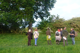 A group of people looking into a tree, most have their backs to us. It's a green space with a big tree and hedgerow