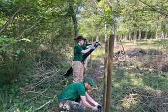 Three people installing a fence in a woodland - two are standing up and one is squatting down
