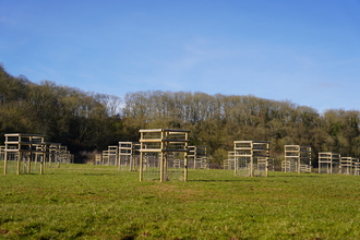 Lots of tree guards protecting recently planted trees