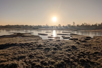 The sun sits low in the sky and casts light over the wetland habitat of Upton Warren.