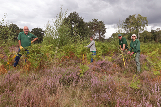 Four people managing heathland - they've all stopped work and are smiling at the camera