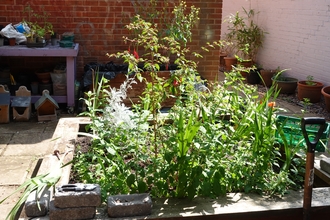 A raised bed with lots of plants in it. It appears to be in the middle of a courtyard with a bench and bird boxes against the wall in the background
