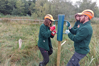 Two people knocking in a fence post using a metal cylinder with handles on either side. There is a third person in the background. They ae all in a marshy field with tall trees in the distance.