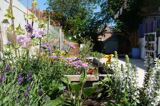 The garden at the Heart of Worcestershire College - raised flower beds full of flowers, it's a riot of colour on a sunny day