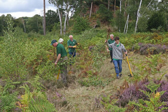 Four volunteers working in the heathland in an outdoor site