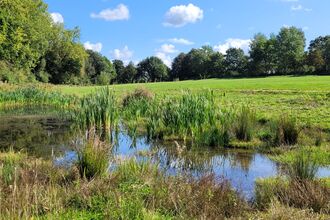 It's a sunny day with fluffy clouds in the sky - there's a pond in the foreground and a bench in the mid-distance. The whole is surrounded by trees on the horizon.