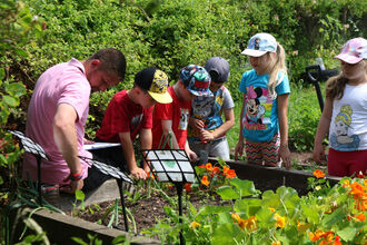 An adult and a group of schoolchildren are gathered around a raised bed on a sunny day