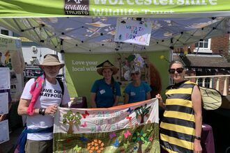 Worcestershire Wildlife Trust stall at a street event with volunteers smiling behind a colorful handmade banner reading "Friends of the Maypole", a costumed volunteer dressed as a bee, and a hanging sign that asks "What's in the box??" promoting local wildlife engagement.