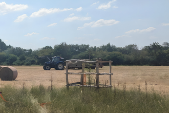 Tractor moving hay bales across a sunlit dry pasture; a round bale sits to the left and a young tree in a wooden protective frame stands in the foreground, with a treeline and blue sky with scattered clouds behind.