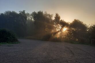 A photo of a gravel car park and a sunrise behind trees in the background with rays streaming through the branches