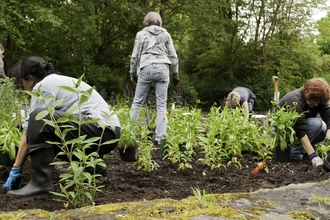 A group of people in a large flower bed planting plants by Katrina Martin/2020VISION