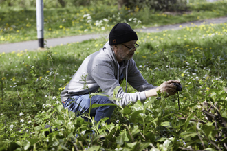 Man photographing wildflowers in a community greenspace