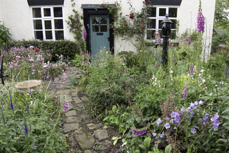 Wildlife garden by Tom Marshall