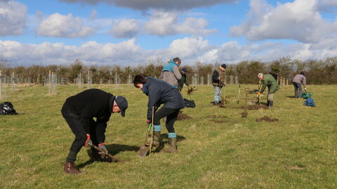 Tiddesley Wood volunteers planting plum trees