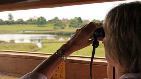 Birdwatching at Upton Warren by Wendy Carter