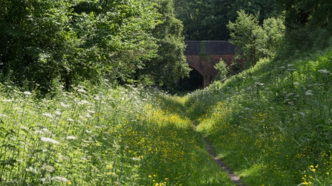 Brotheridge Green by Pete Walkden