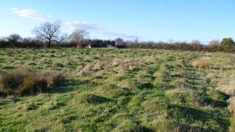 Humpy Meadow by James Hitchcock