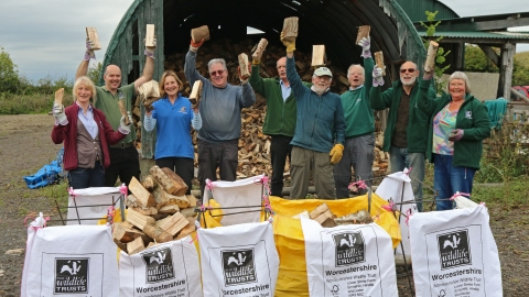 Log Lobbers at Tiddesley Wood