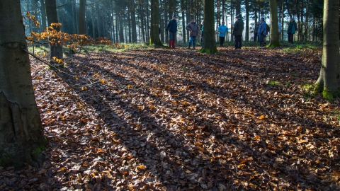 Group of people in autumn woodland by Ruth Bourne