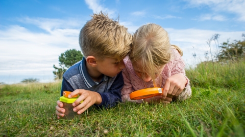 Two children looking for bugs in a meadow by Matthew Roberts