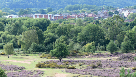 Hartlebury Common in the foreground with development in background by Steve Bloomfield