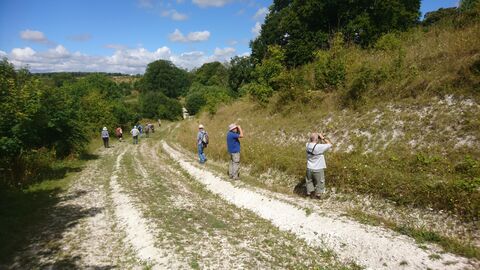 Adults walking down a track, two of them are standing at the side looking through binoculars by Wendy Carter
