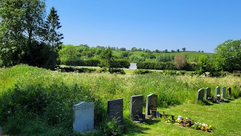 A view of a churchyard. Behind the graves, a section has been left to grow, with long grasses and wildflowers. There is a cricket pitch in the distance.