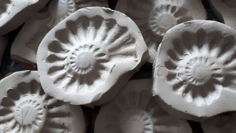Fossil making kit - moulds for making ammonites