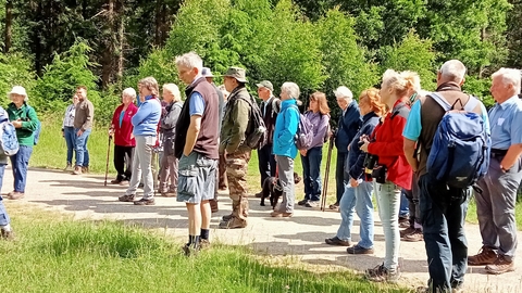 Wyre Forest local group walk