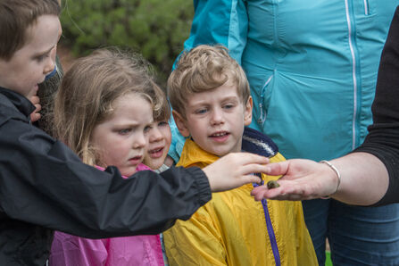 Children looking at snail by Emily Brazier