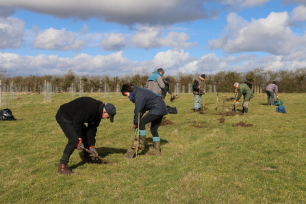 Tiddesley Wood volunteers planting plum trees