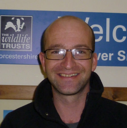 Andy Harris
