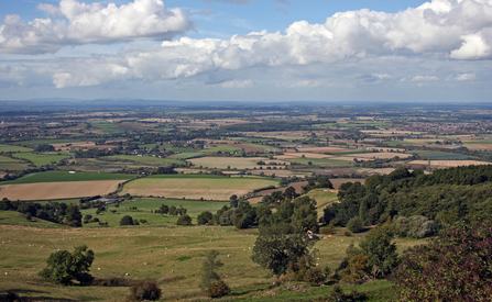 Avon vale landscape