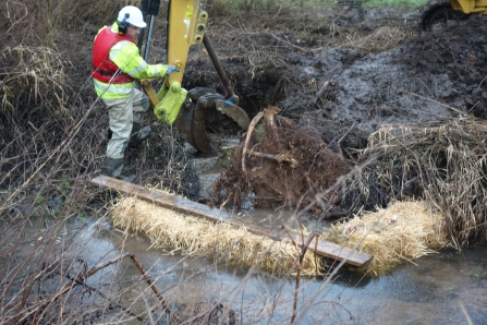 Tree root plate being installed