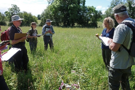 Wildflower training