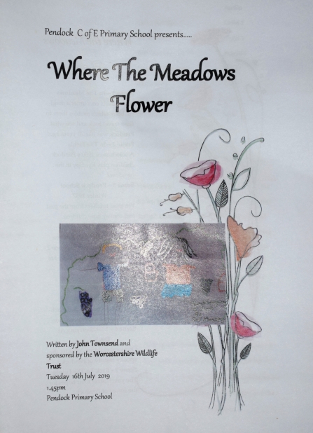 Front cover of 'Where the Meadows Flower' programme