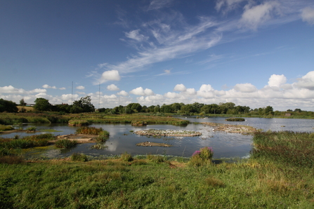 The Moors pools at Upton Warren by Wendy Carter