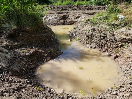 New wetland being created along the Church Hill Brook by Jasmine Walters