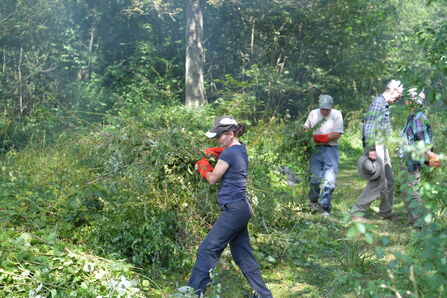 Volunteers by Brian Taylor