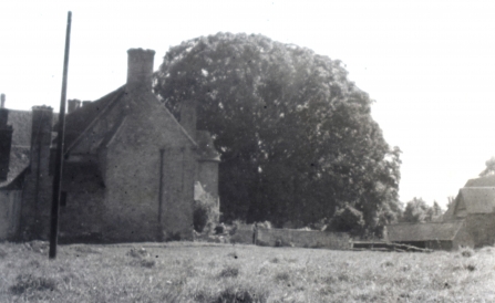 Hardwick Court with walnut tree in background