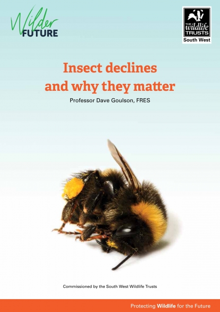 Action for Insects report front cover