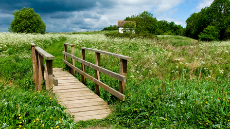 Bridge in foreground with granary in distance by Paul Lane