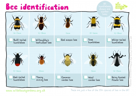 Bee spotter sheet