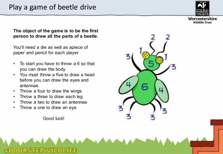 Instructions for playing beetle drive