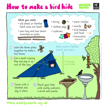 Instructions for making a bird hide