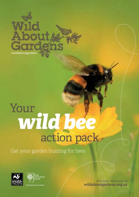 Cover of Wild Bee Action Pack booklet