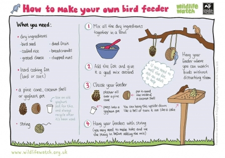 Instructions for making a bird feeder