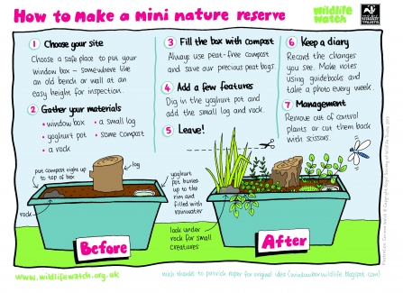 Instructions for creating a mini nature reserve