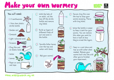 Instructions for making a wormery